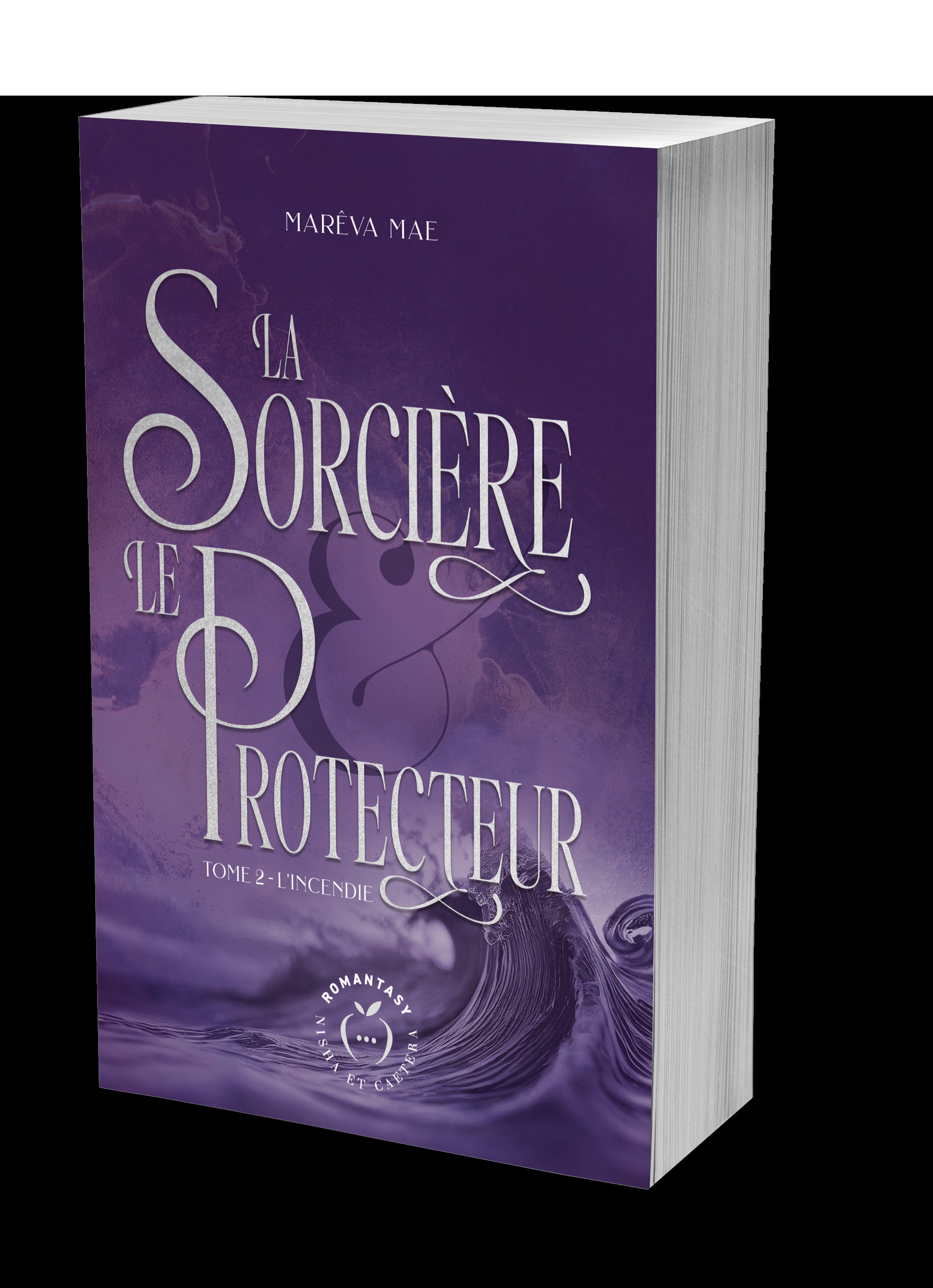 La Sorcière et le Protecteur 