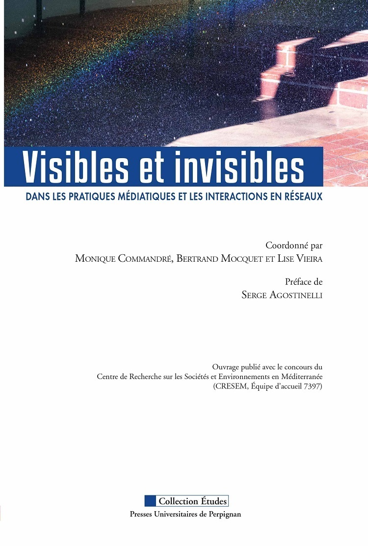 Visibles et invisibles dans les pratiques médiatiques et les interactions en réseaux