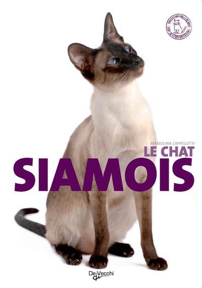 CHAT SIAMOIS