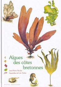 Algues des côtes bretonnes