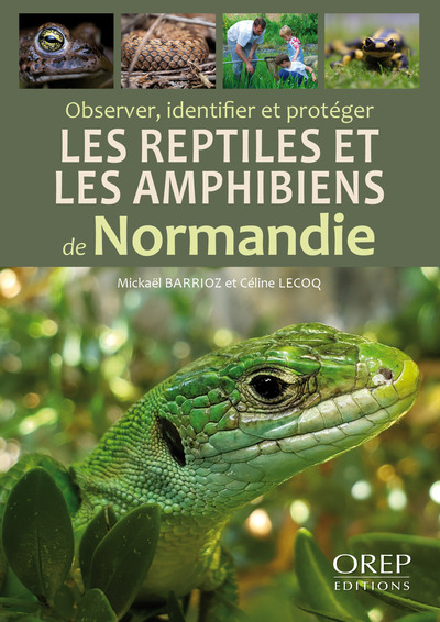 Observer, identifier et protéger les reptiles et les amphibiens de Normandie