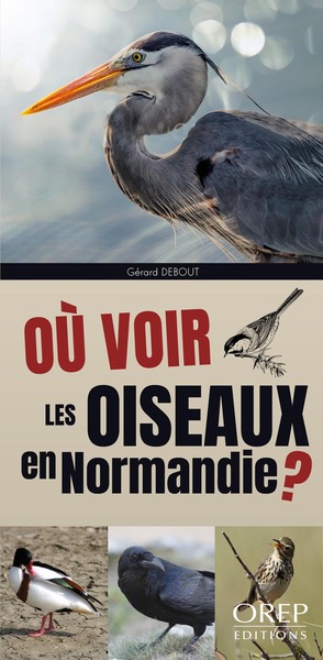 Où voir les oiseaux en Normandie