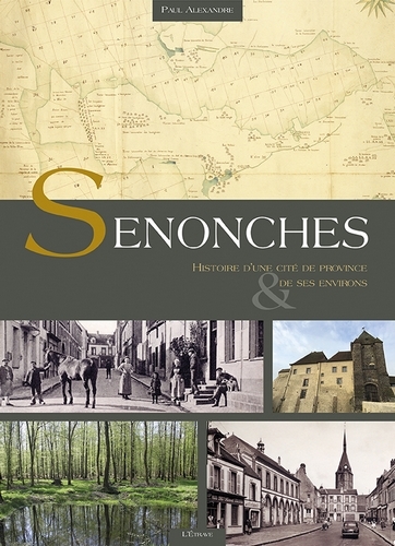 Senonches, histoire d'une cite de province et de ses environs