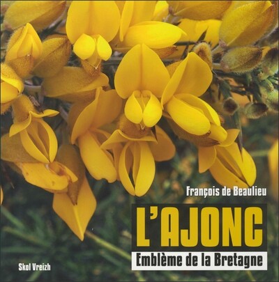 L'ajonc, emblème de la Bretagne