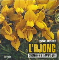 L'ajonc, emblème de la Bretagne