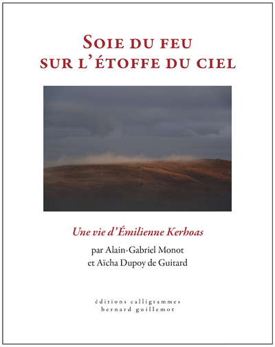 Soie du feu sur l'étoffe du ciel