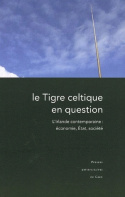 Tigre celtique en question.