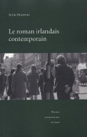 Roman irlandais contemporain