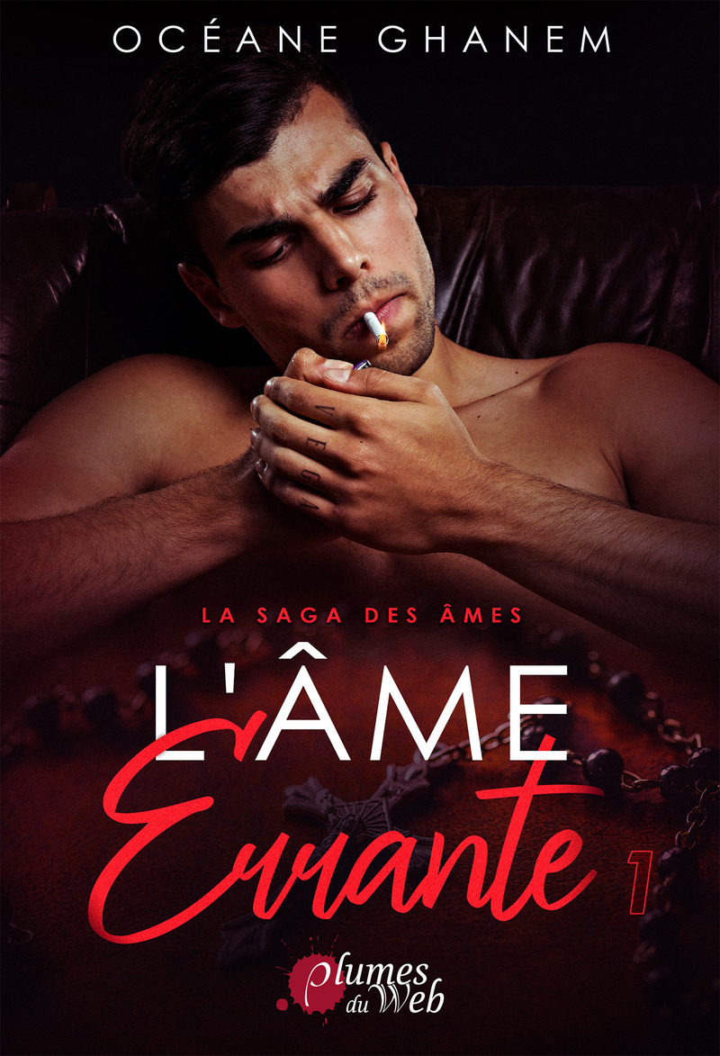 La saga des âmes - Tome 01 L'âme errante