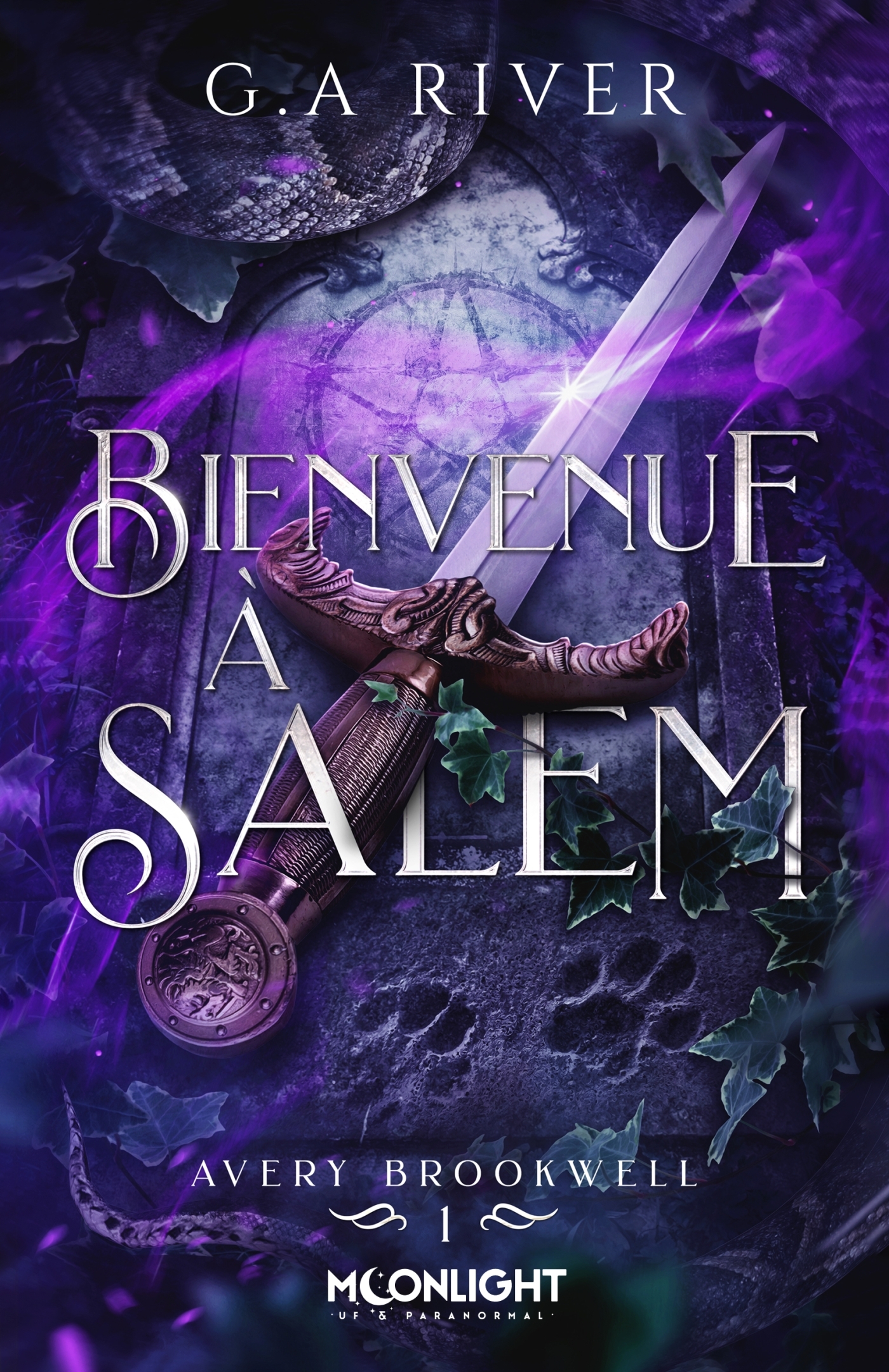 Bienvenue à Salem