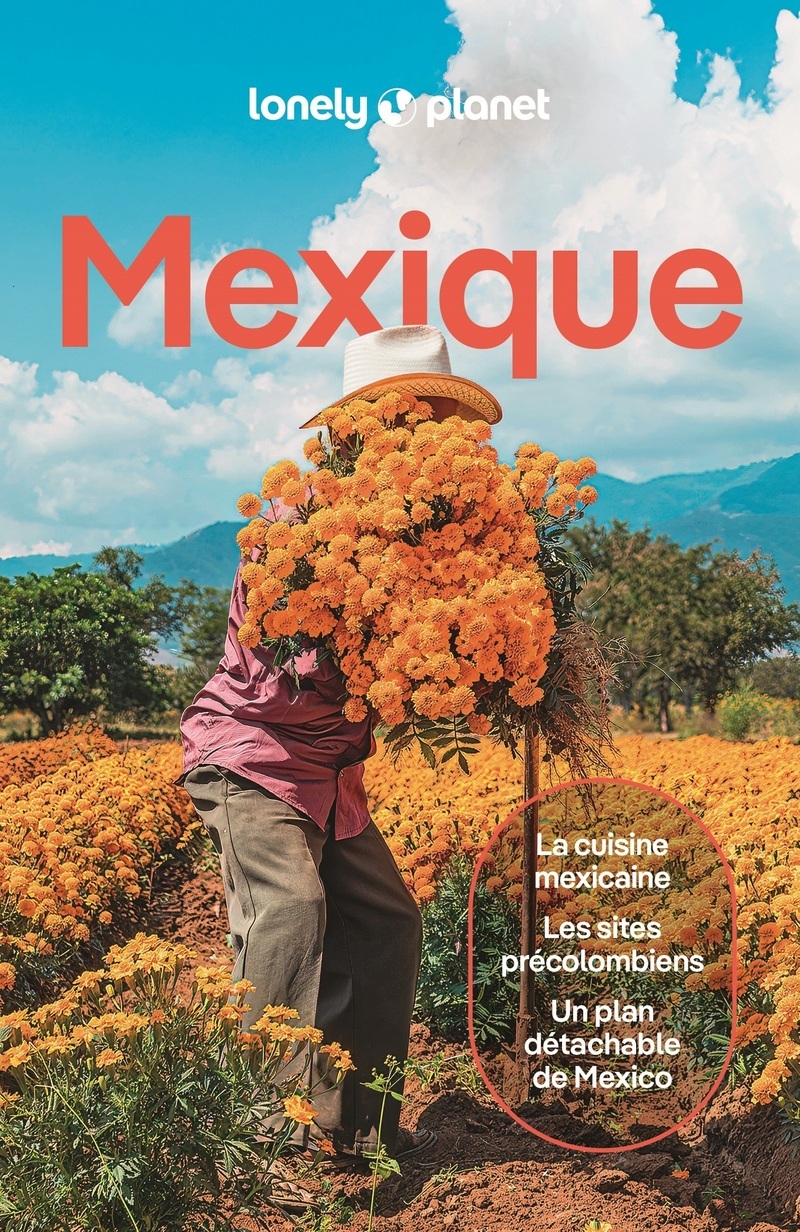Mexique 15ed - Guide de voyage Lonely Planet