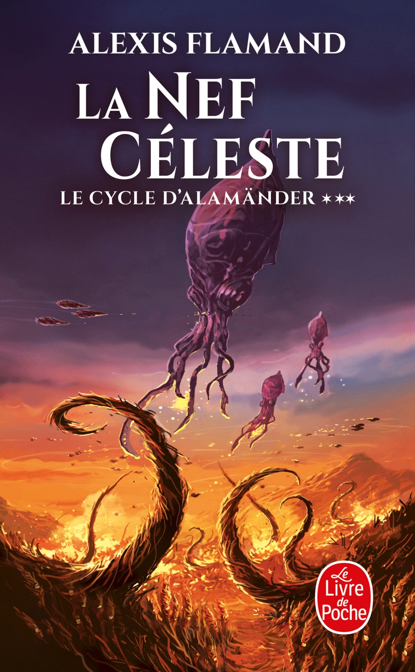 La Nef céleste (Le Cycle d'Alamänder, Tome 3)