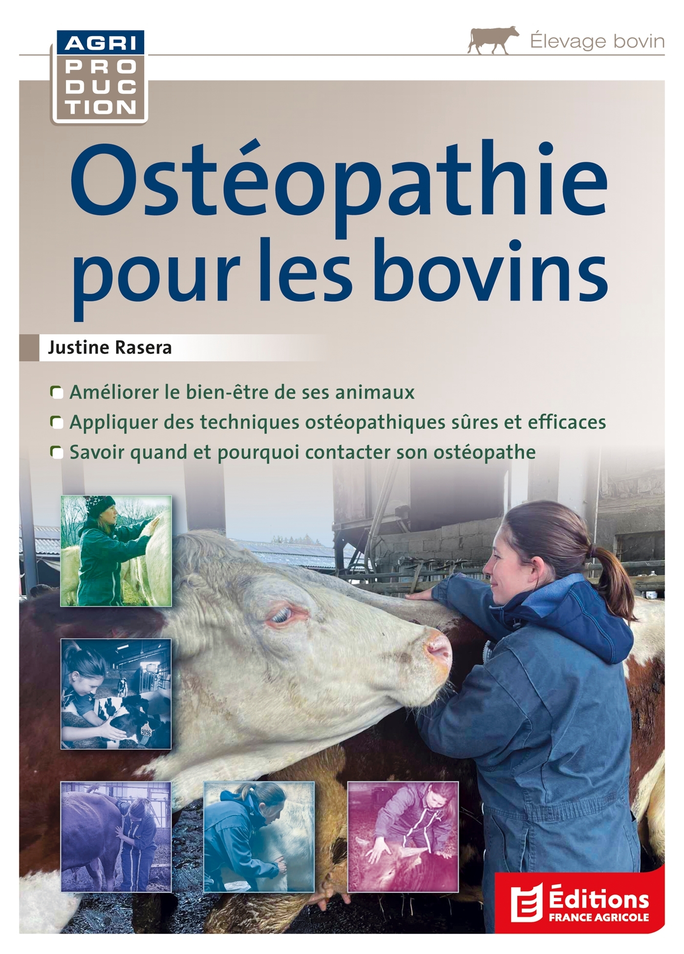 Ostéopathie pour les bovins