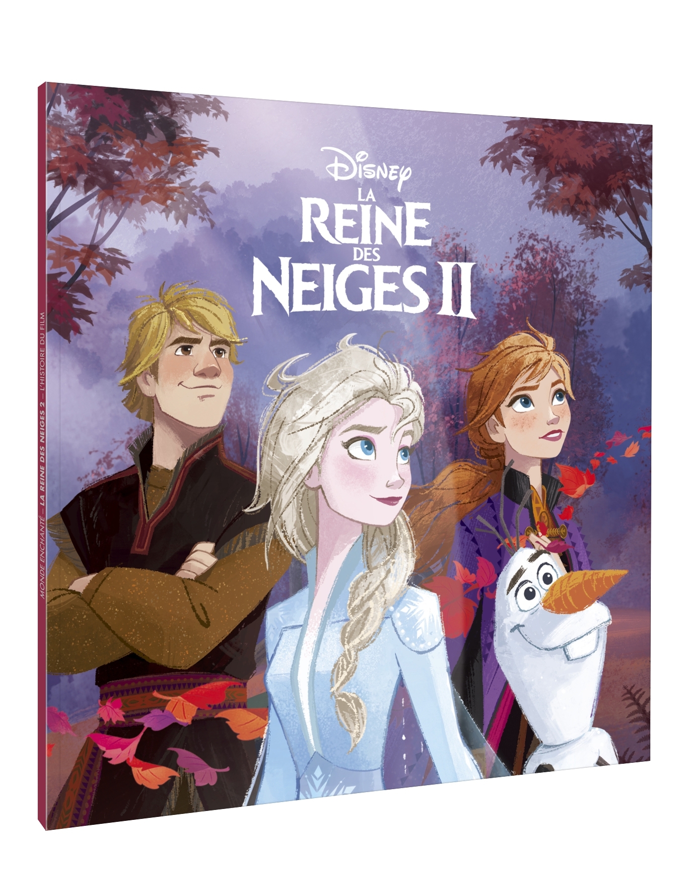 LA REINE DES NEIGES 2 - Monde Enchanté - L'histoire du film - Disney
