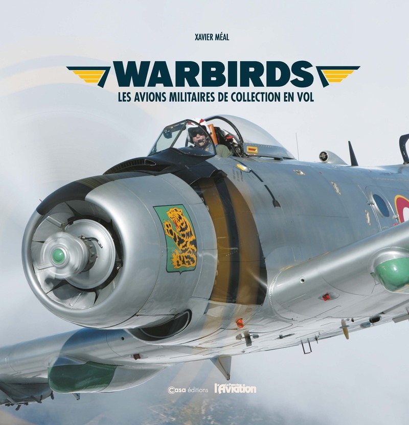 Warbirds - Les avions militaires de collection en vol