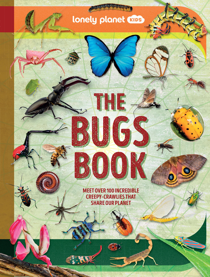 The Bugs Book 1ed -anglais-