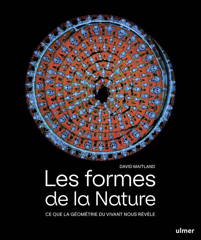 Les formes de la nature - Ce que la géométrie du vivant nous révèle