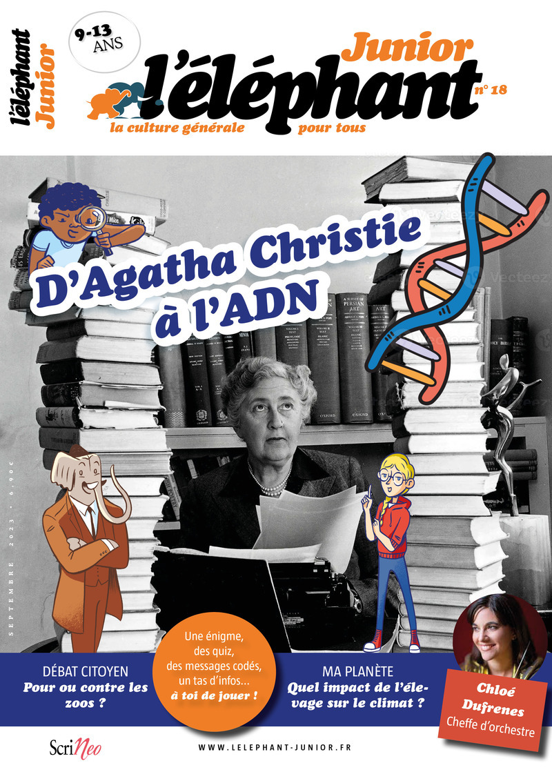 Elephant Junior - N° 18