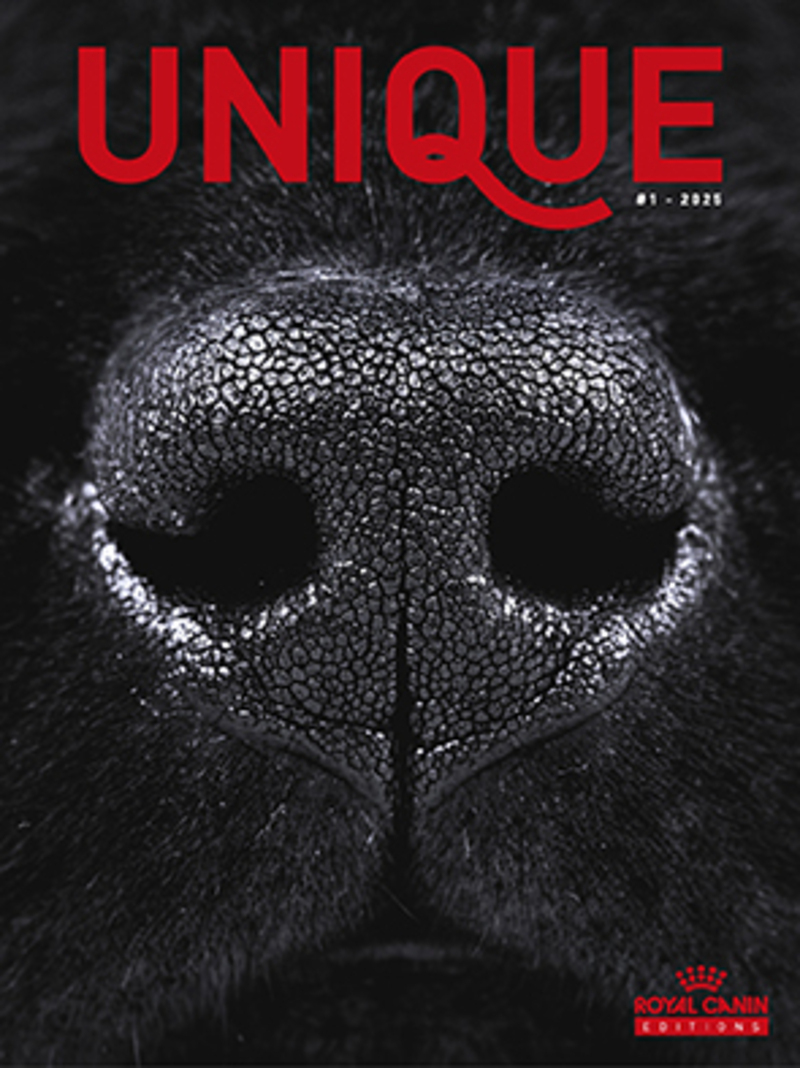 Unique - Magazine sur les Chats et Chiens