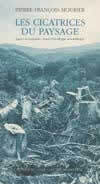 Les Cicatrices du paysage
