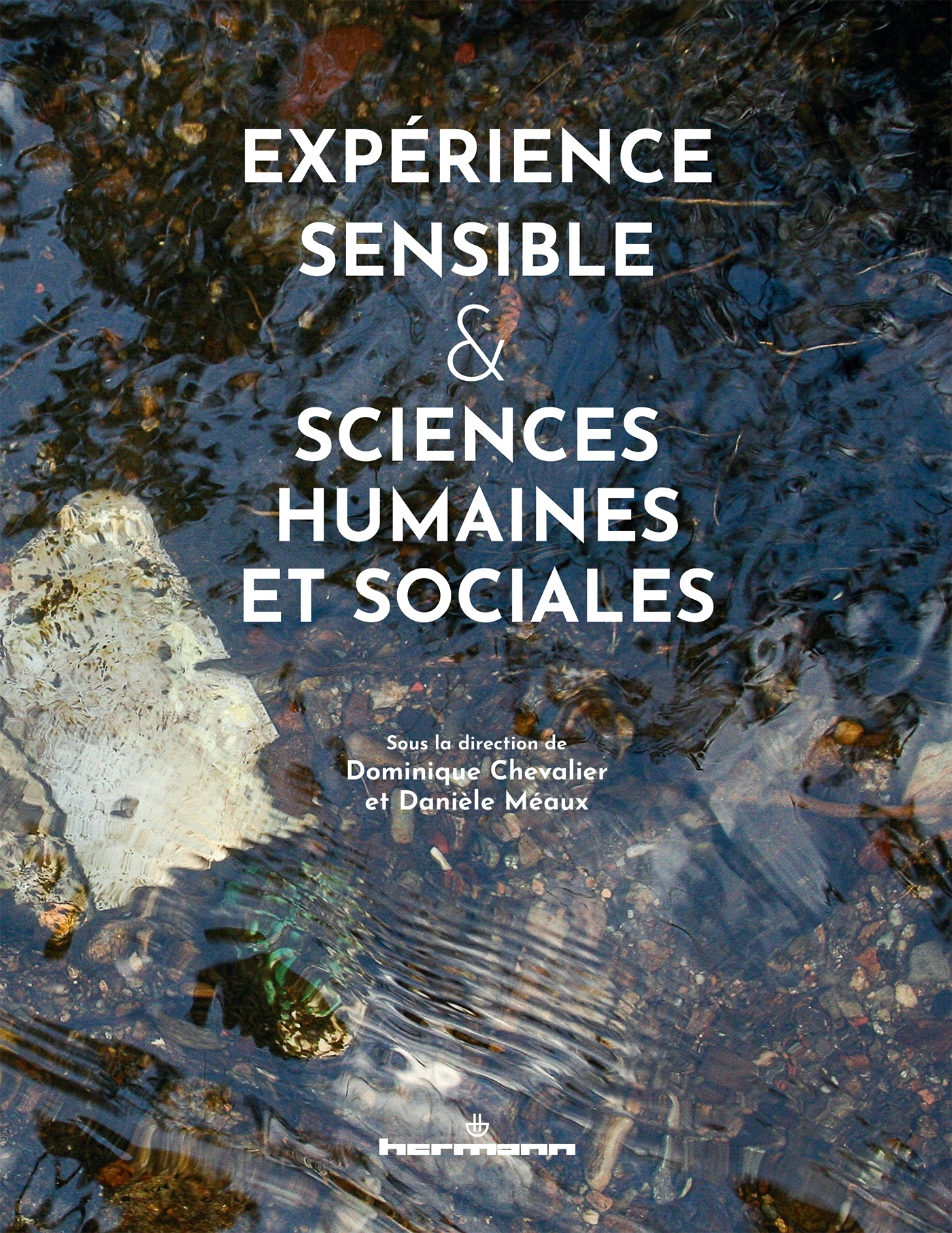 Expérience sensible & sciences humaines et sociales