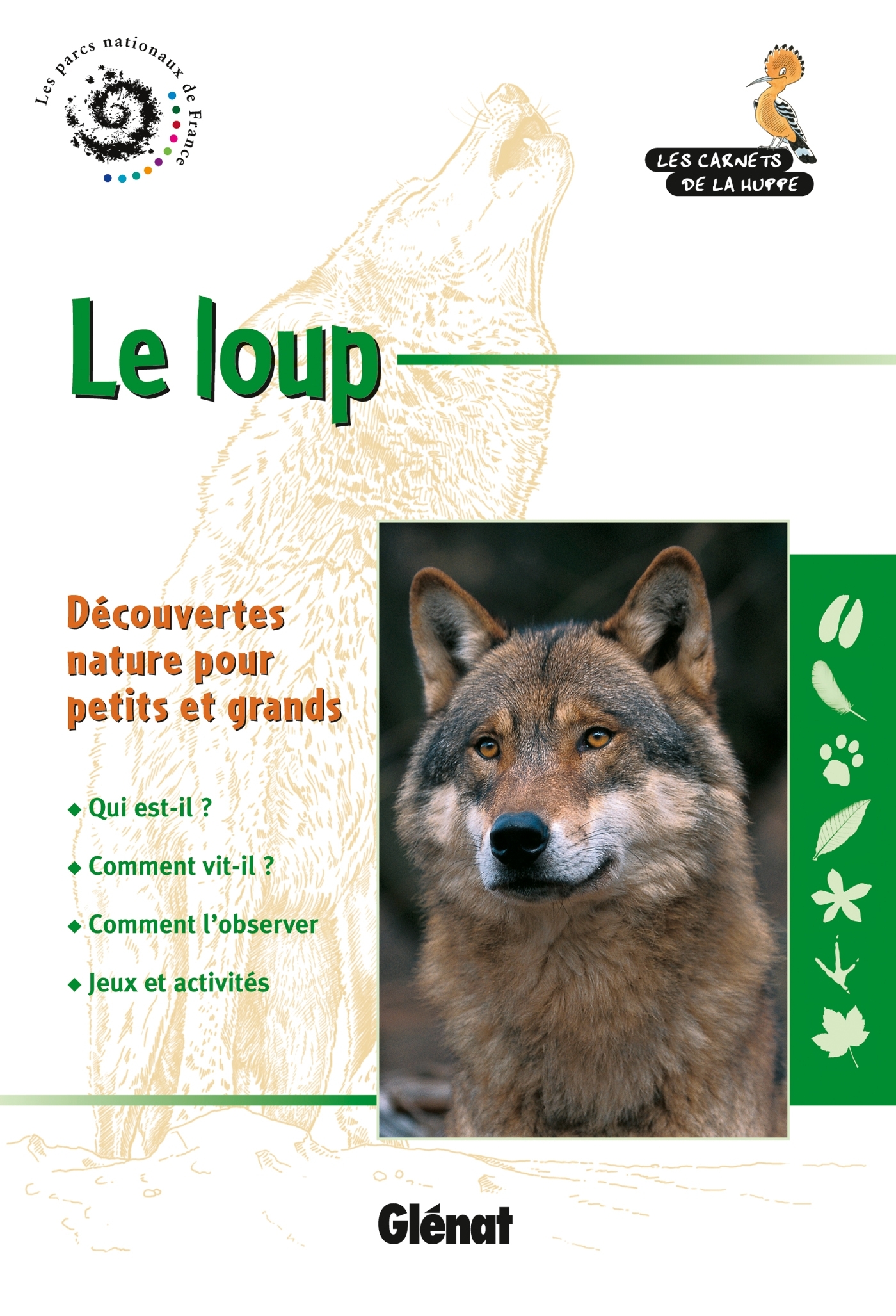 Le loup - Les carnets de la huppe