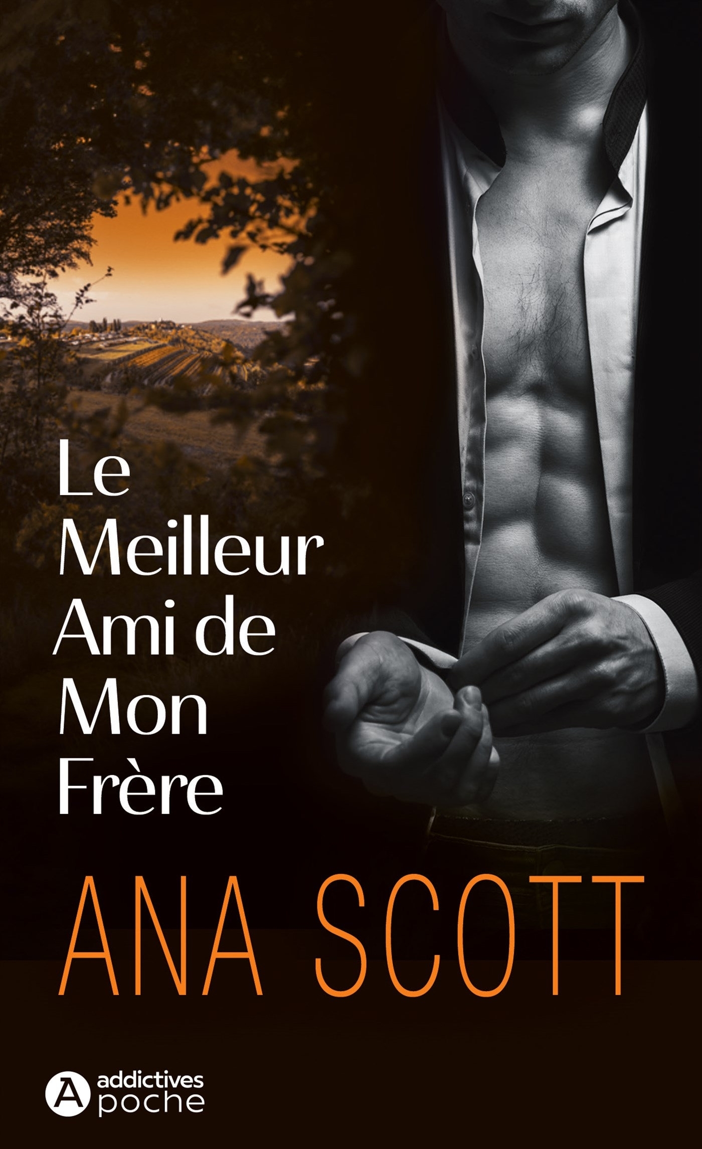 Le Meilleur Ami de mon frère