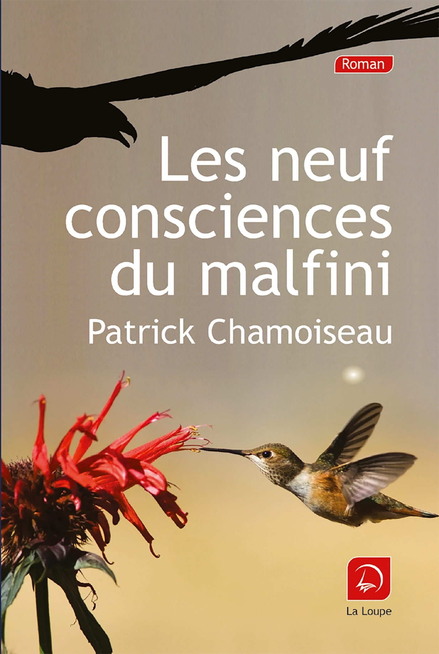 Les neuf consciences du malfini