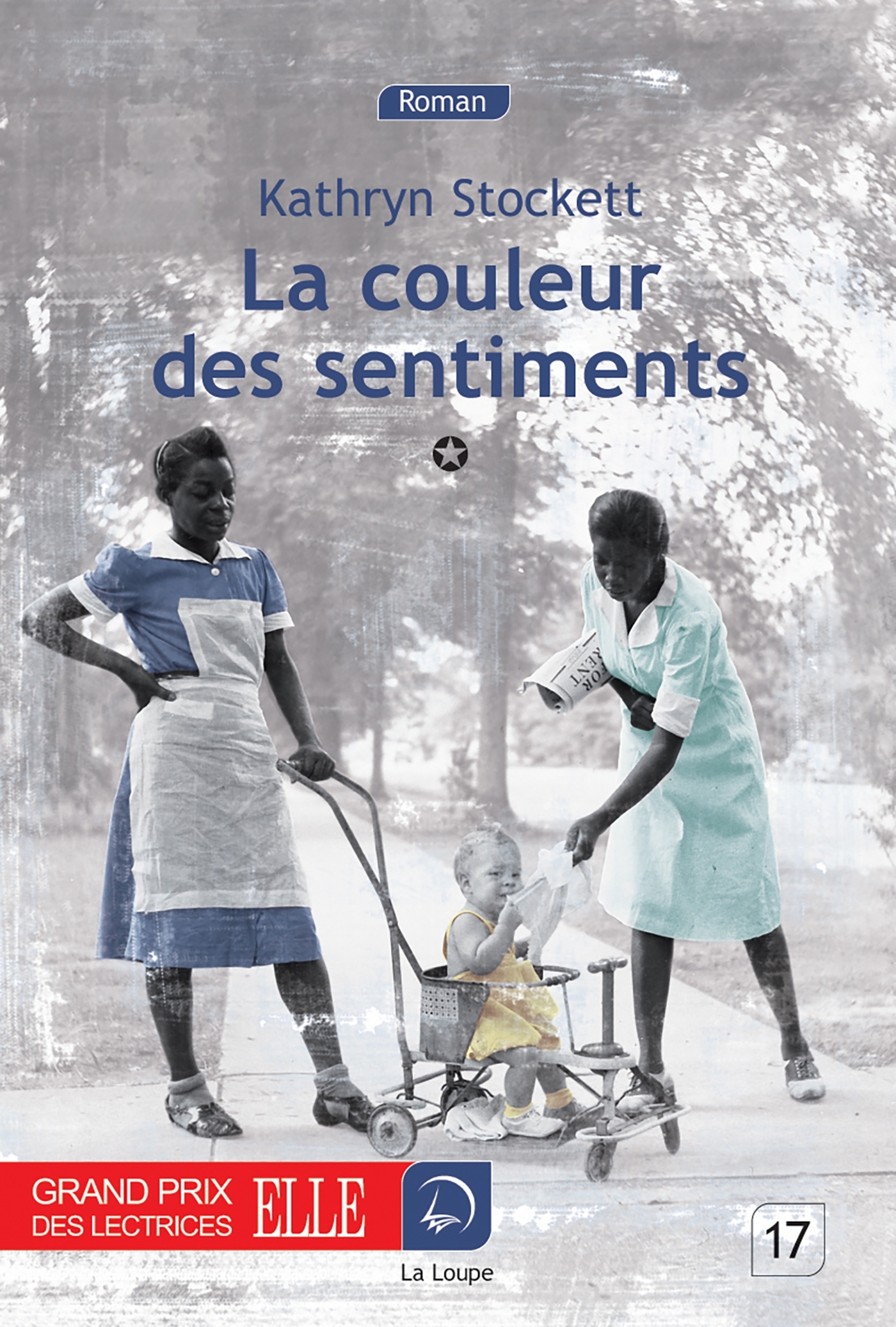 La couleur des sentiments (Vol 1)