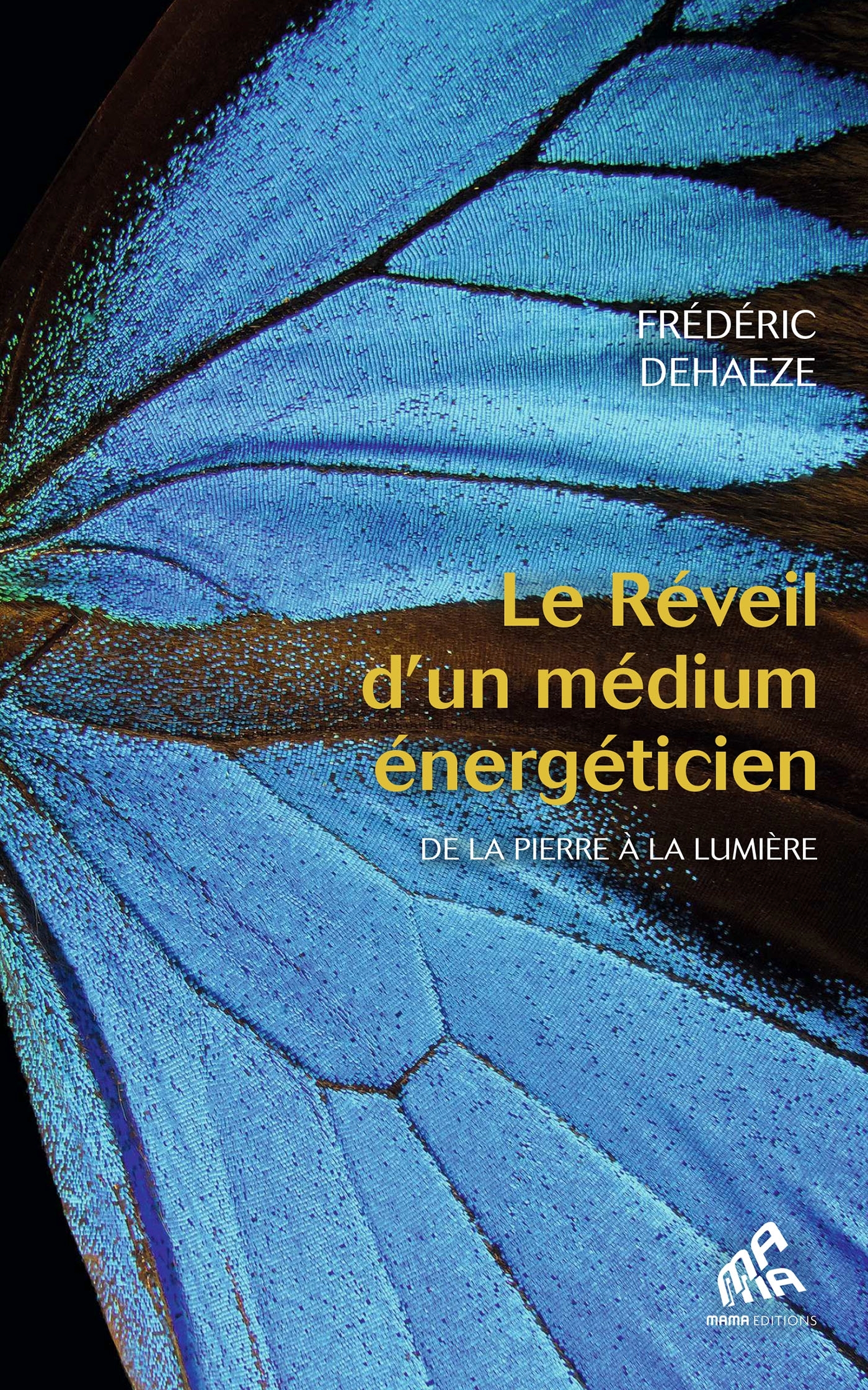 Le Réveil d'un médium énergéticien