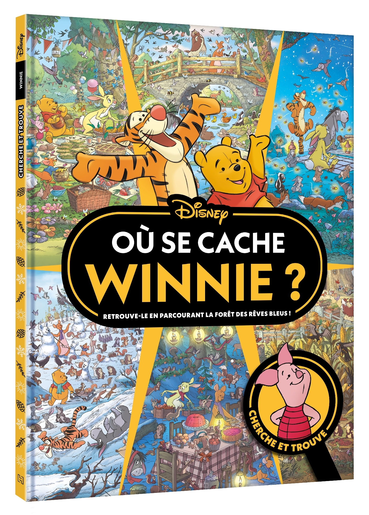 WINNIE L'OURSON - Où se cache Winnie ? Cherche et Trouve - Disney