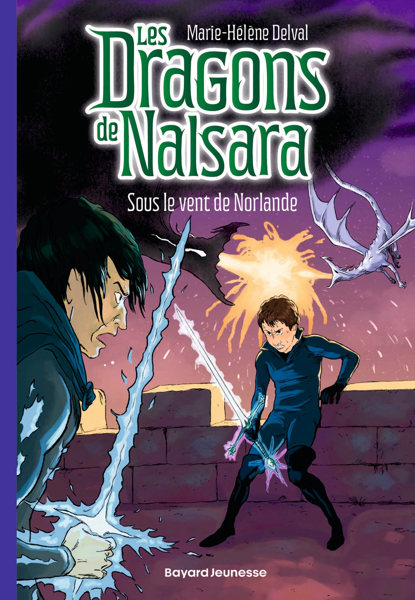 Les dragons de Nalsara, Tome 20