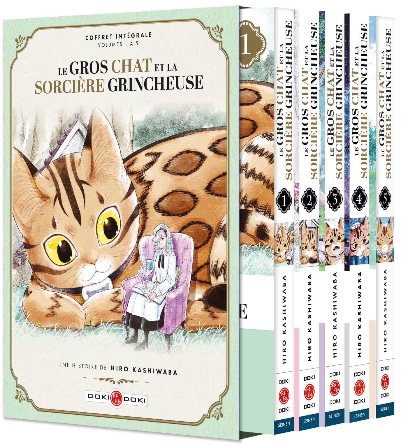 Le Gros Chat et la Sorcière grincheuse - coffret vol. 01 à vol.05