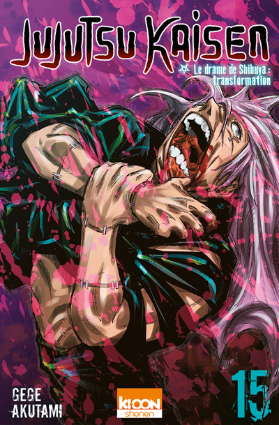 Jujutsu Kaisen T15