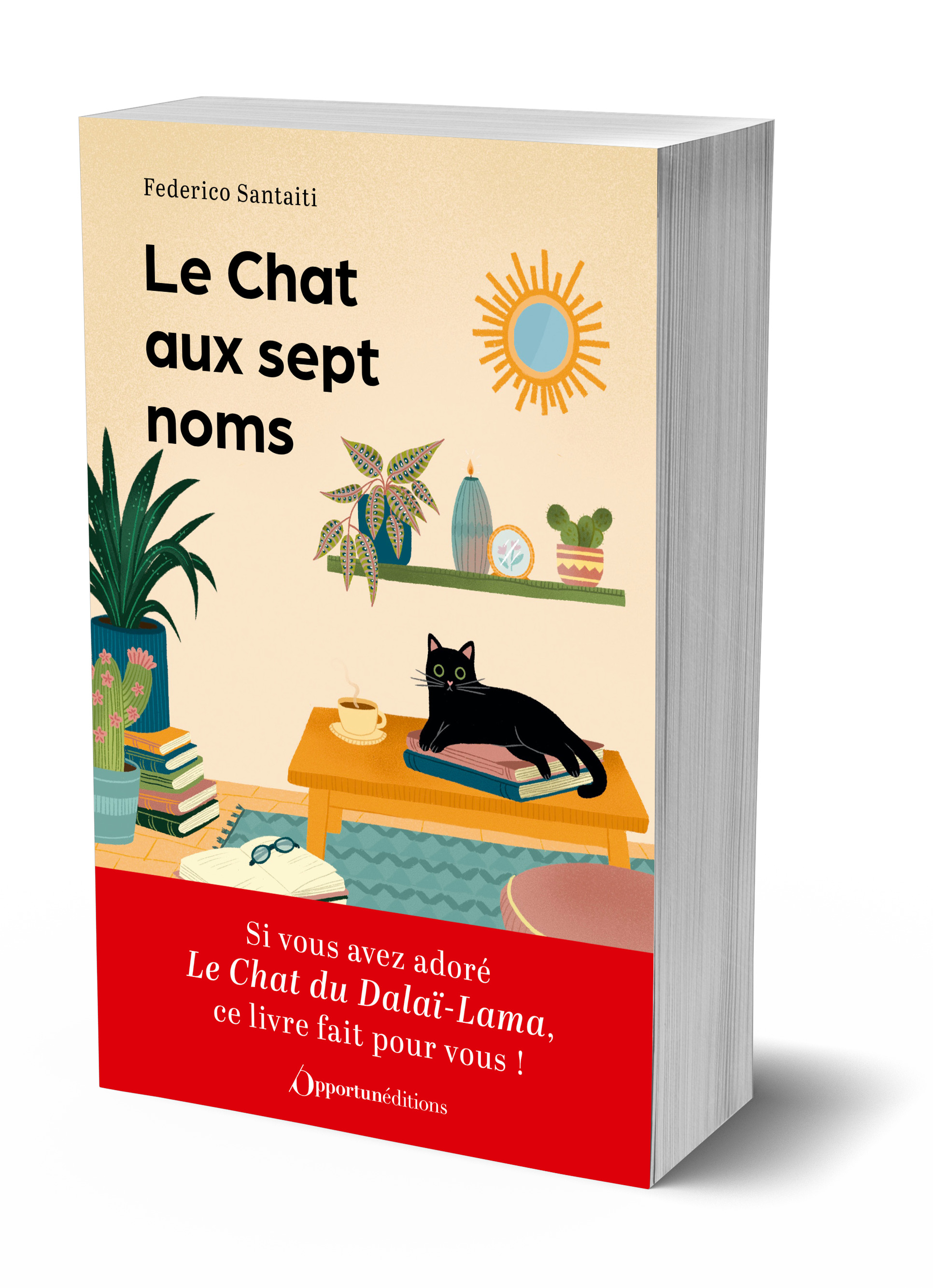 Le Chat aux sept noms