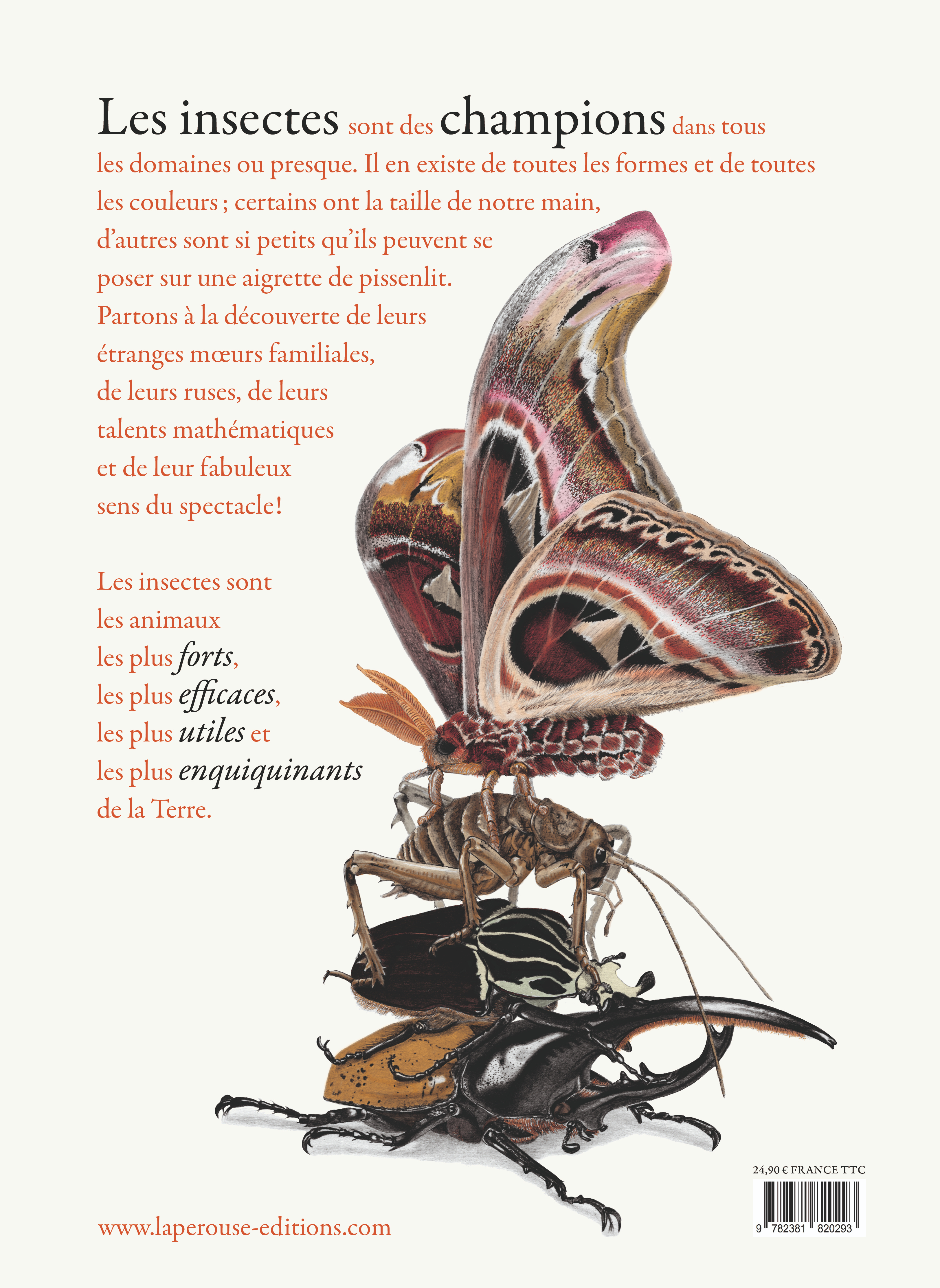image-produit