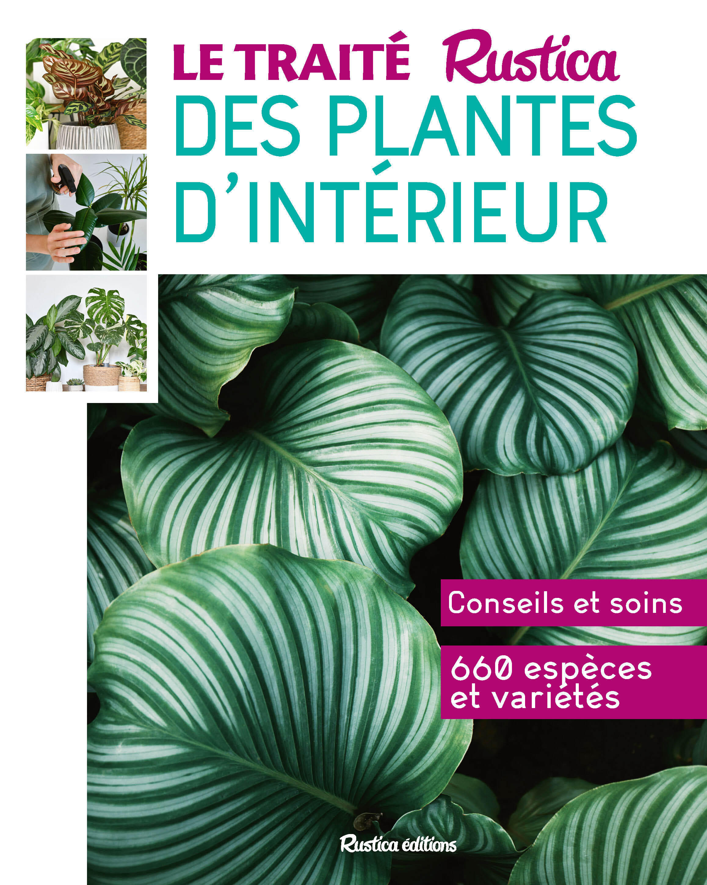 LE TRAITE RUSTICA DES PLANTES D´INTERIEUR