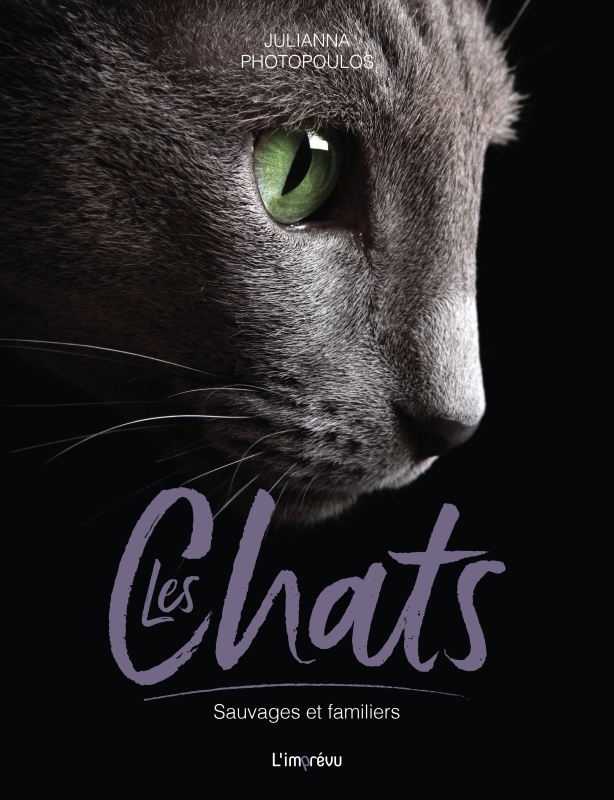 Les Chats - Sauvages et familiers