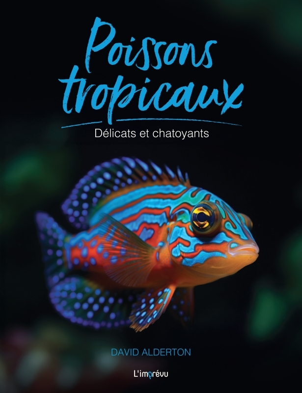 Délicats et chatoyants