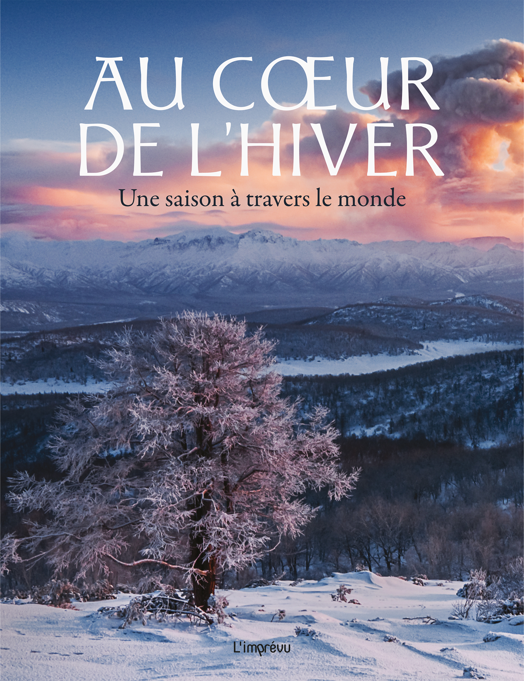 Au coeur de l'hiver - Une saison à travers le monde