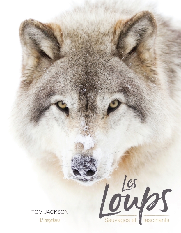 LOUPS - SAUVAGES ET FASCINANTS
