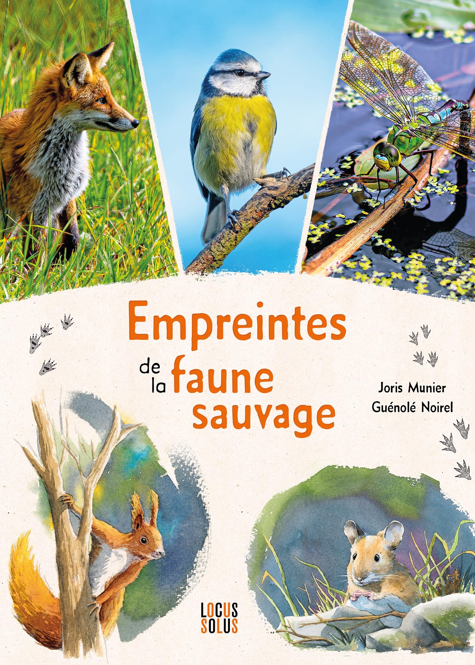 EMPREINTES DE LA FAUNE SAUVAGE