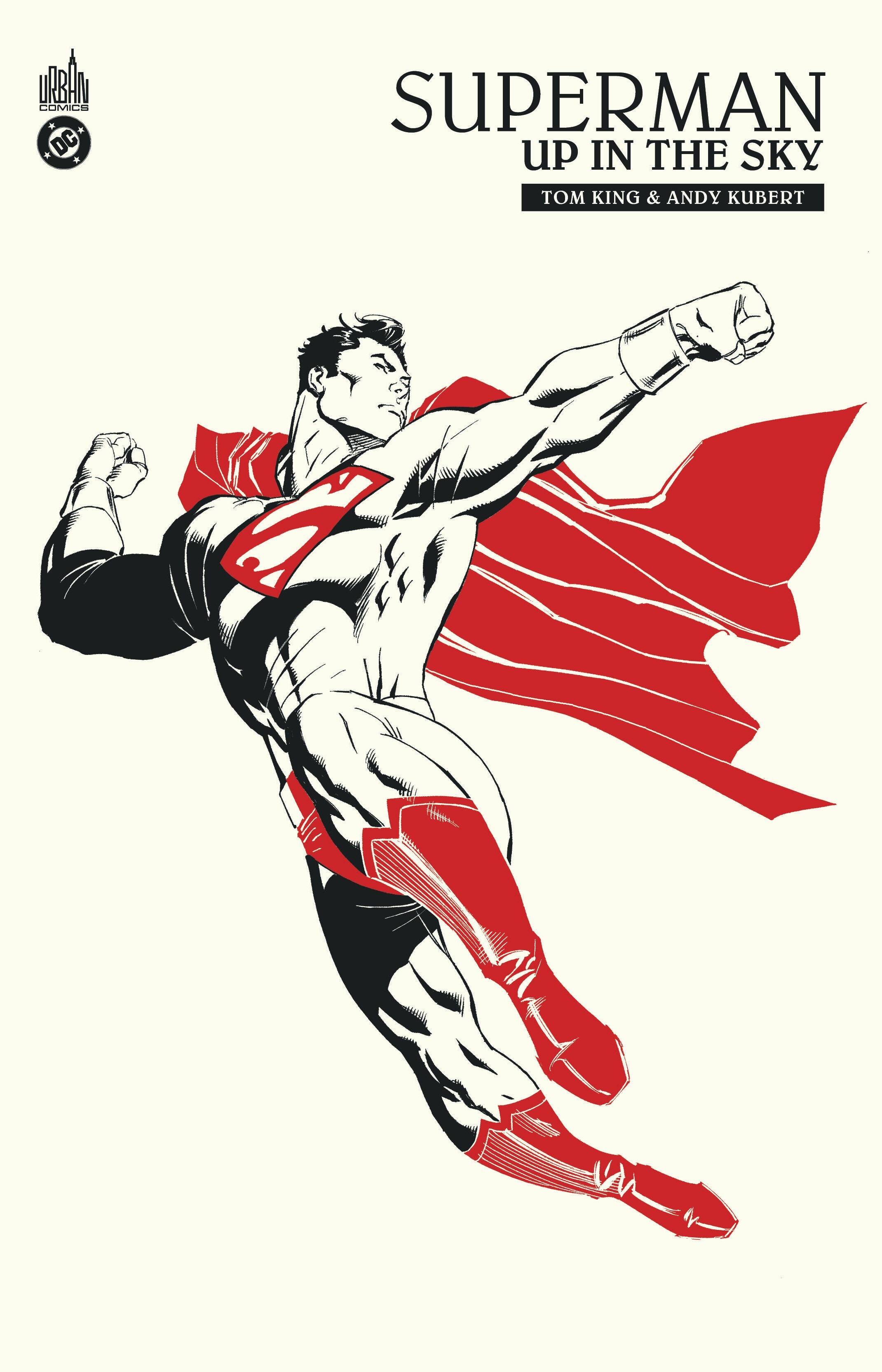 Superman : Up In The Sky