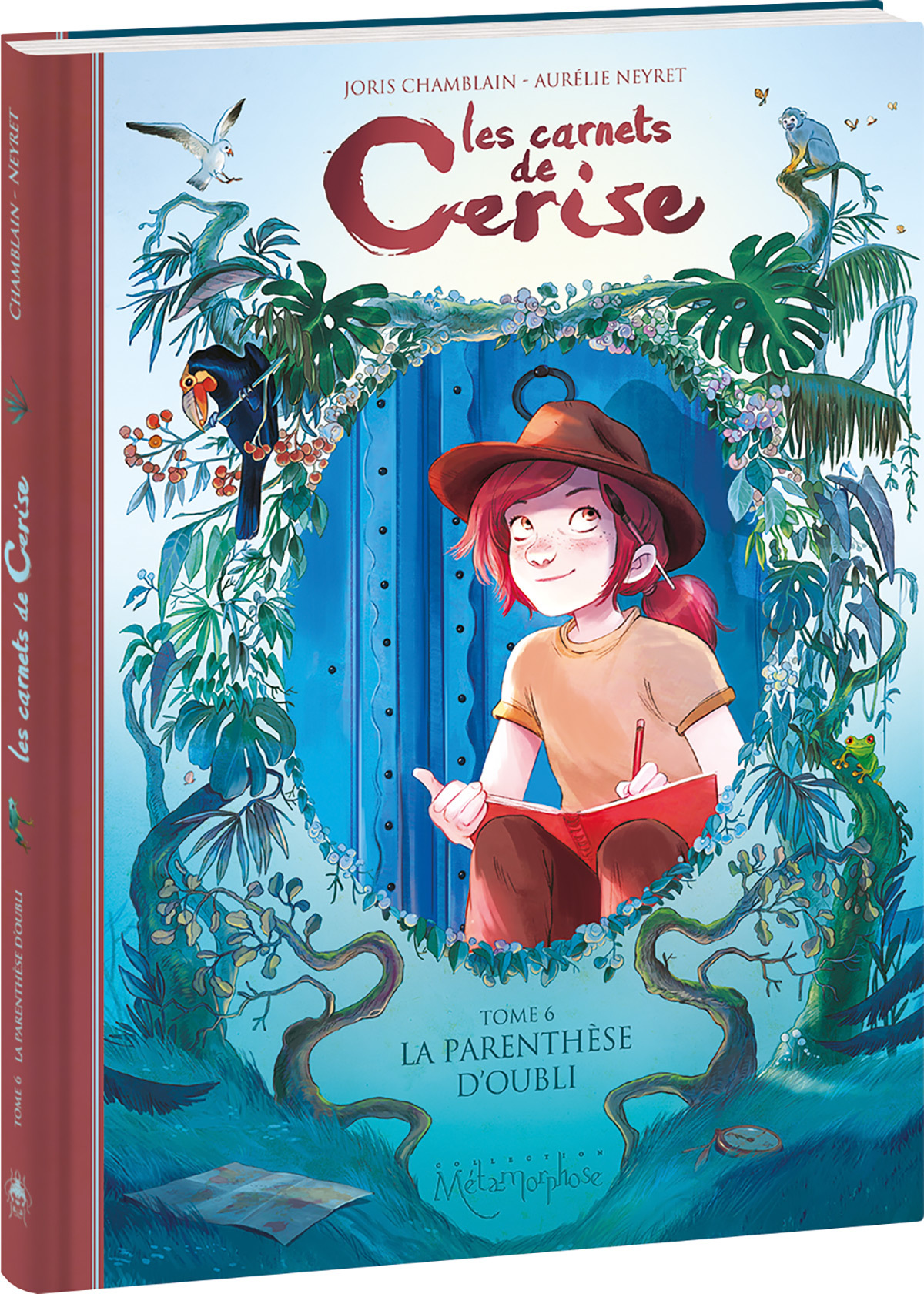 Les Carnets de Cerise - Tome 6 - La Parenthèse d'oubli