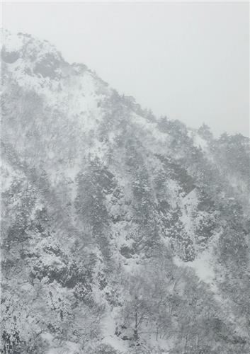 KEIKO SASAOKA PRESENCE /ANGLAIS/JAPONAIS