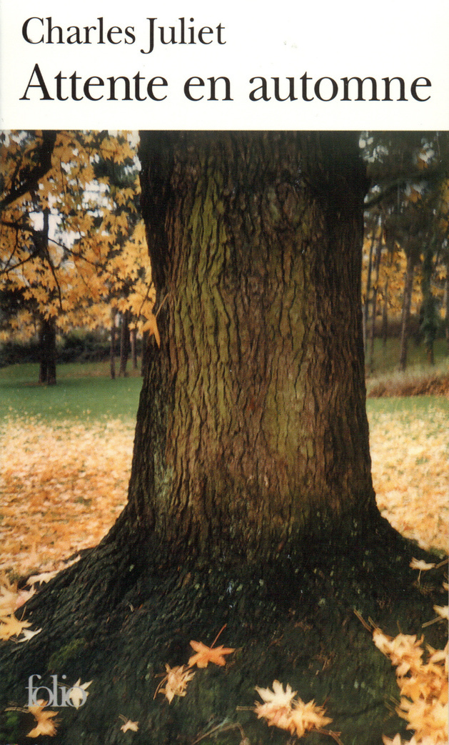 ATTENTE EN AUTOMNE / MARIA / TURBULENCES