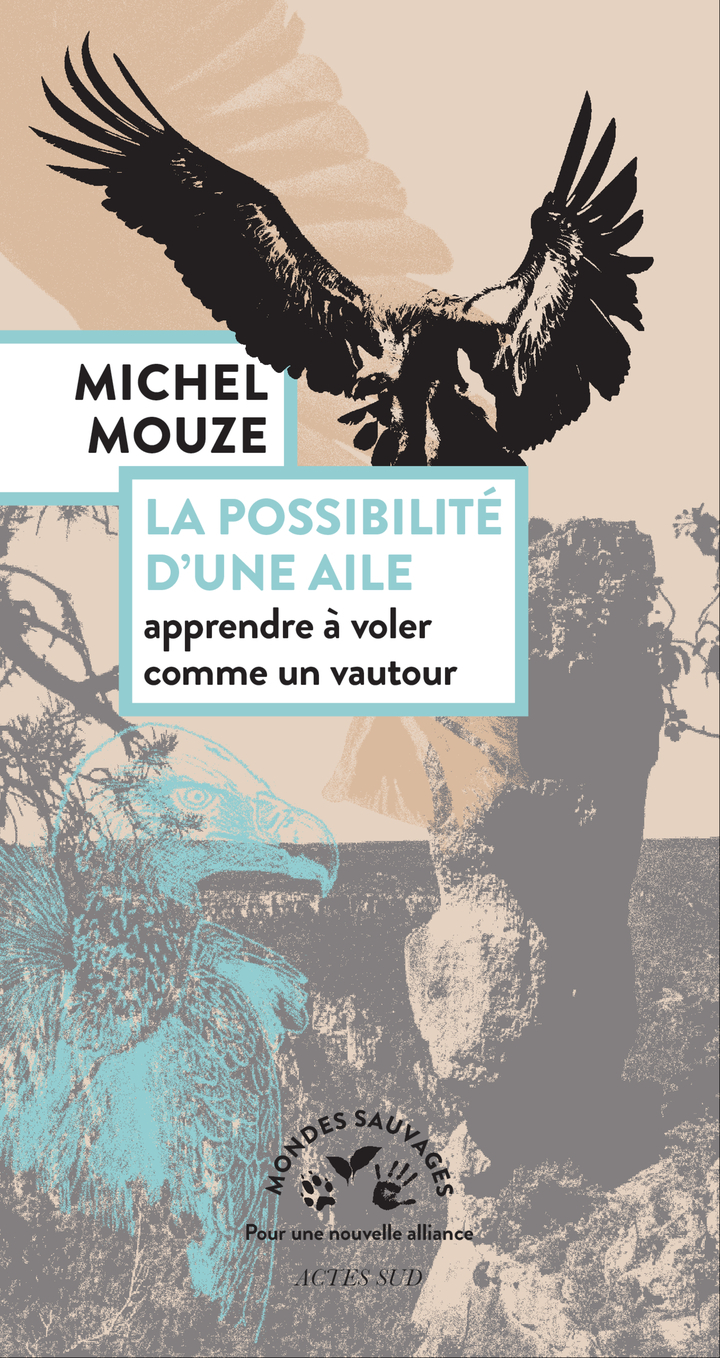 POSSIBILITE D´UNE AILE - APPRENDRE A VOLER COMME UN VAUTOUR