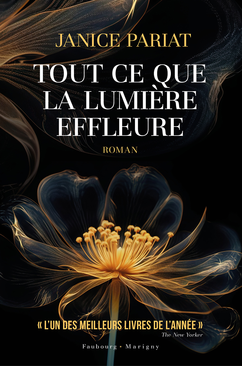 TOUT CE QUE LA LUMIERE EFFLEURE