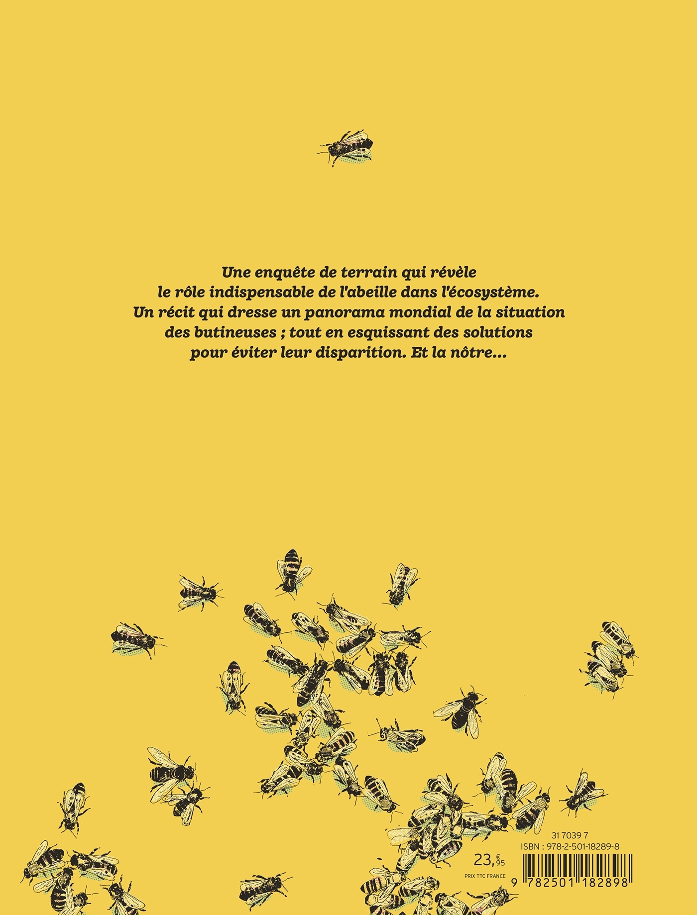 image-produit