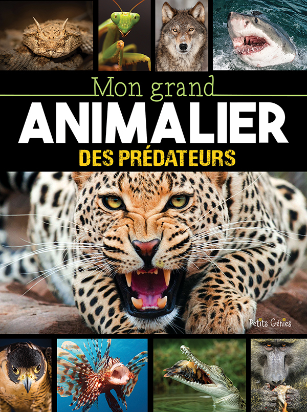 MON GRAND ANIMALIER DES PREDATEURS